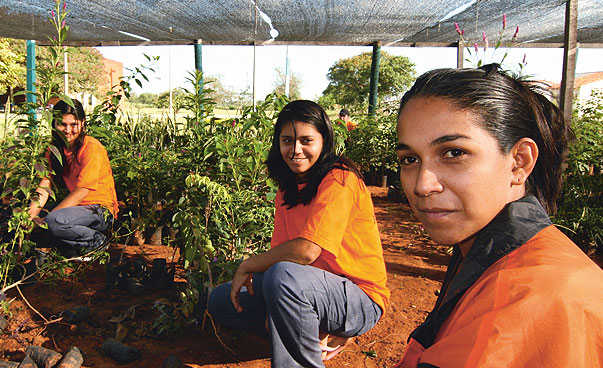 Women doing agricultural work at a bengo project.